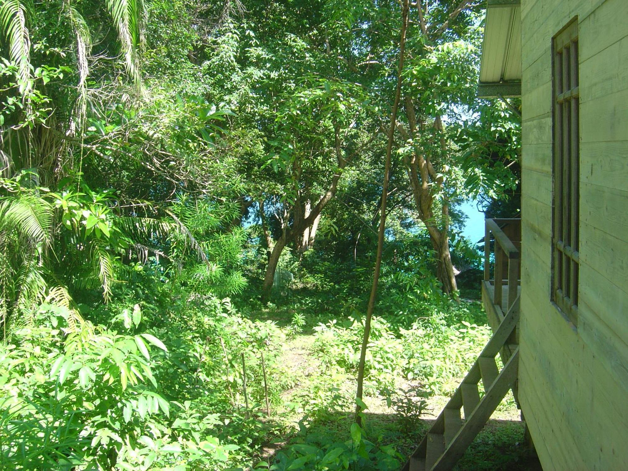 Olala Cafe & Bungalows Sabang  Exterior foto
